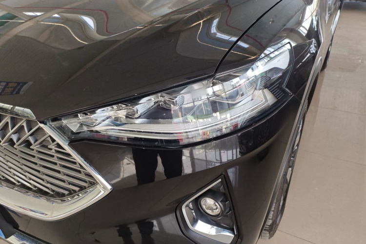 Haval F7x 2021 car image #23