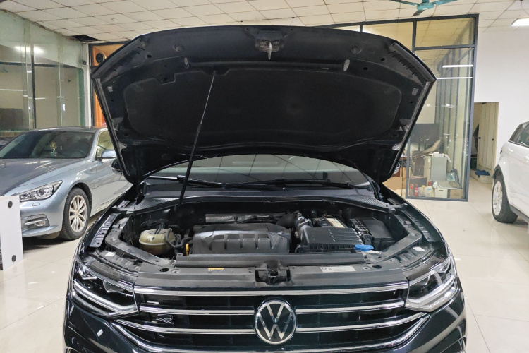 Volkswagen Tiguan L 2022 imagen de coche #23