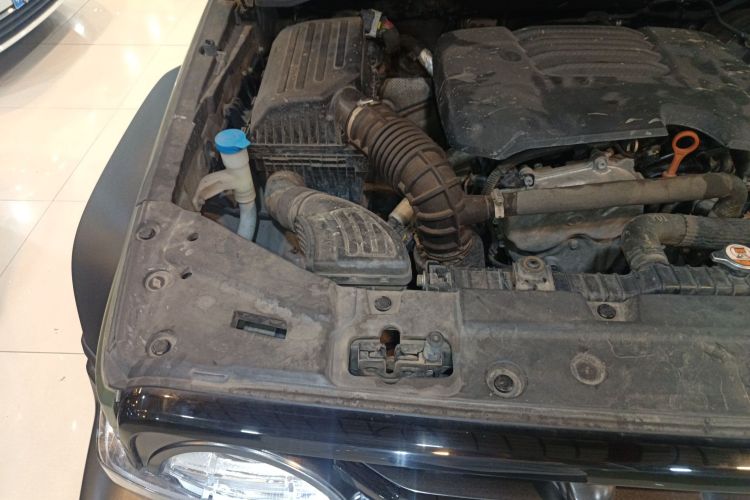 Tank 300 2022 car image #23