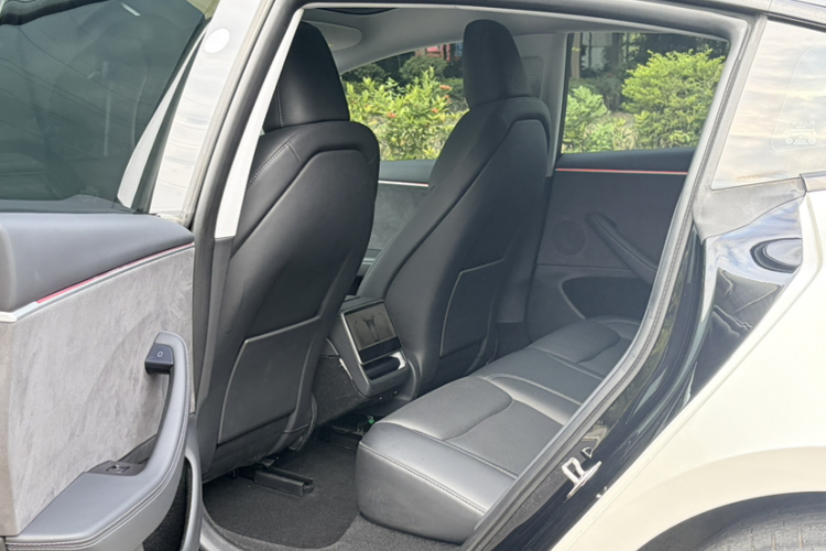 Tesla Model 3 2023 car image #23