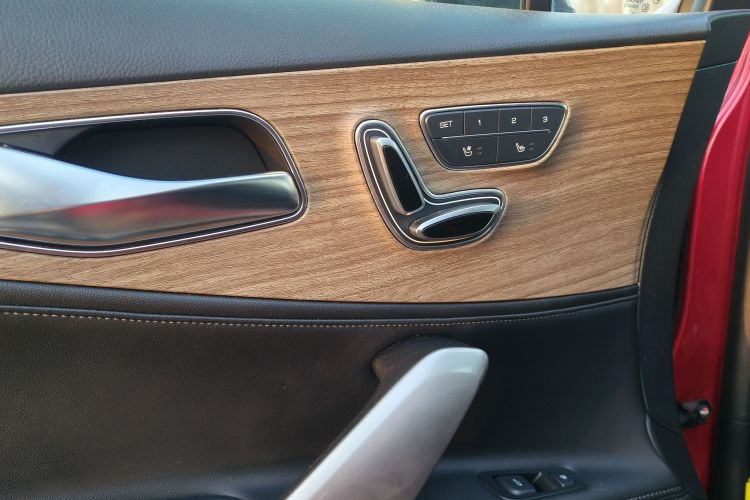 Denza X 2020 #23 Denza X 2020 car image #23