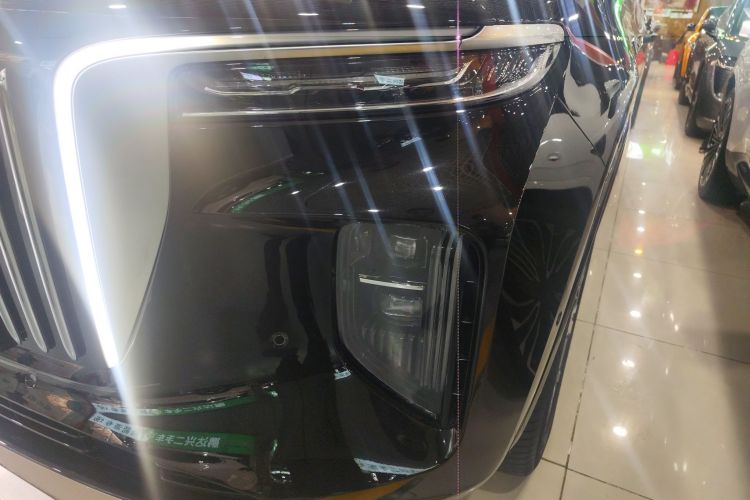 HongQi E-HS9 2021 immagine di auto #23