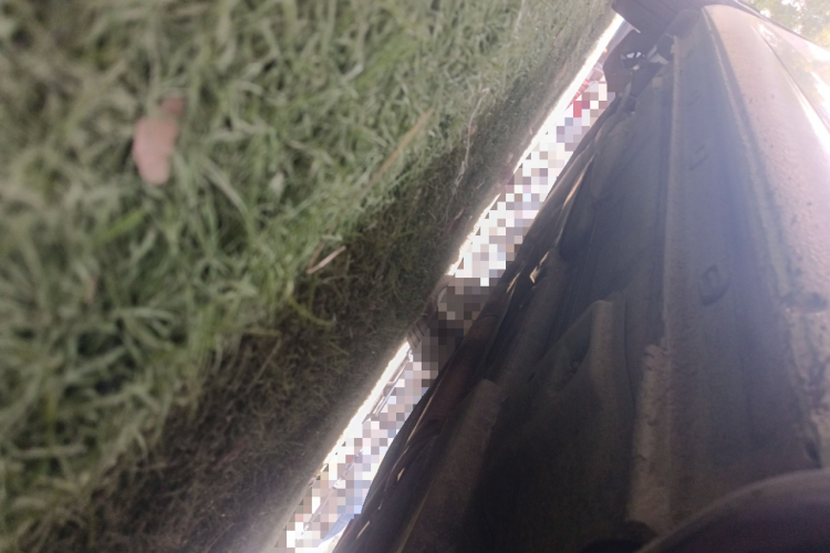 Skoda Rapid 2017 car image #23