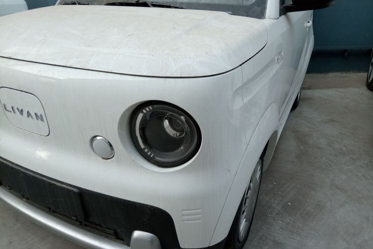 Livan 2025 immagine di auto #23