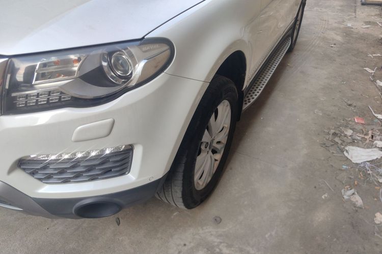 Haval H8 2017 car image #23