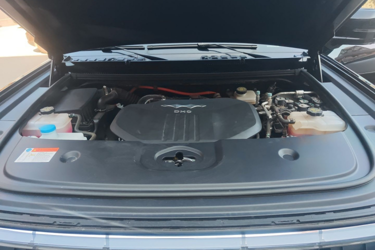 FangChengBao Leopard 5 2024 car image #23