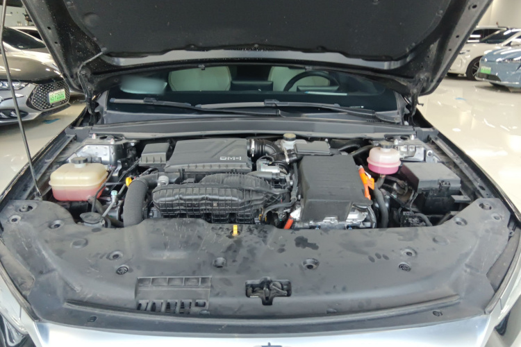 BYD Qin Plus 2024 car image #23