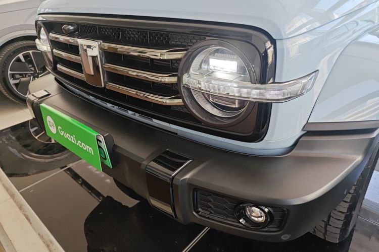 Tank 300 New Energy 2024 car image #23