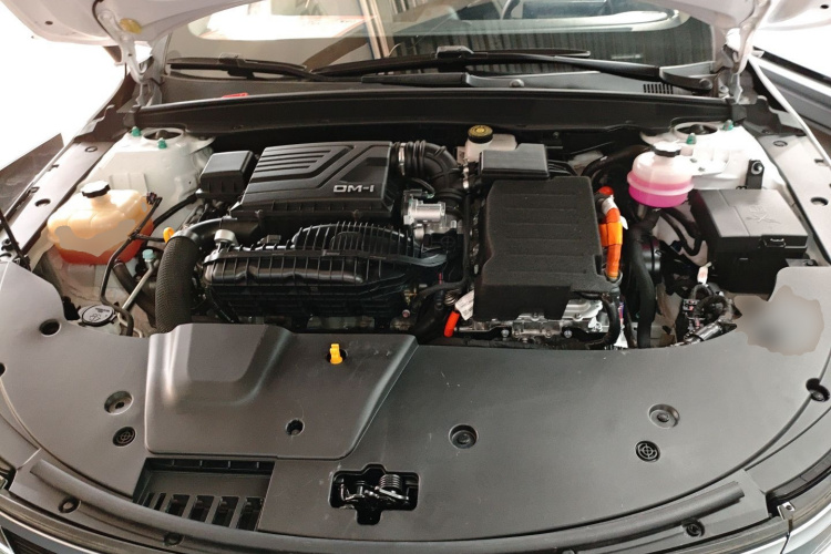 BYD Destroyer 05 2024 car image #23