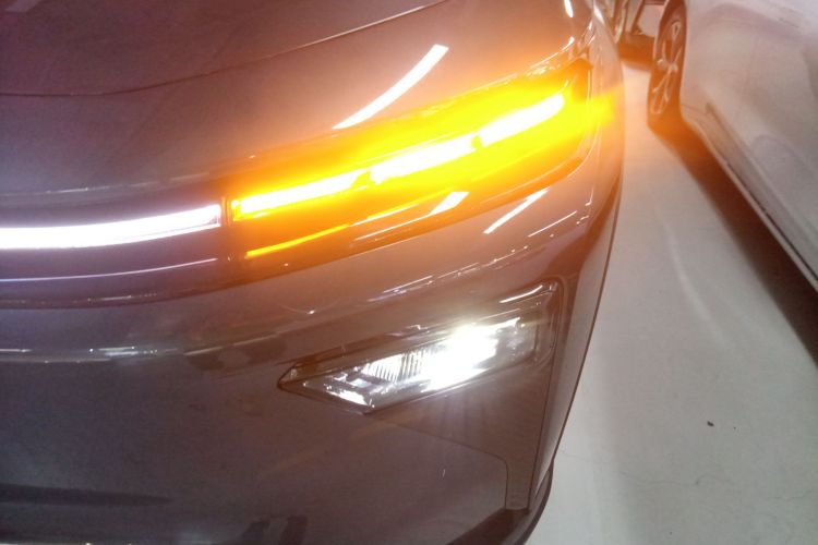 Livan 7 2025 imagen de coche #23