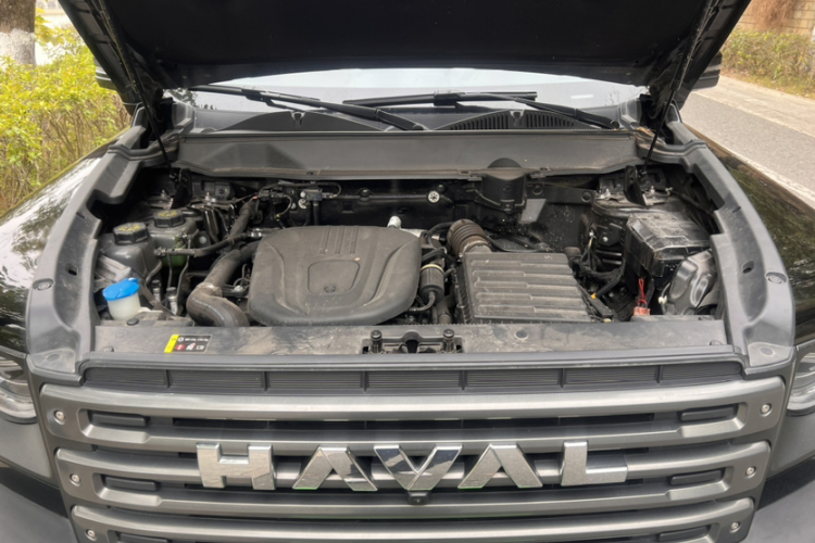 Haval Raptor New Energy 2023 car image #23