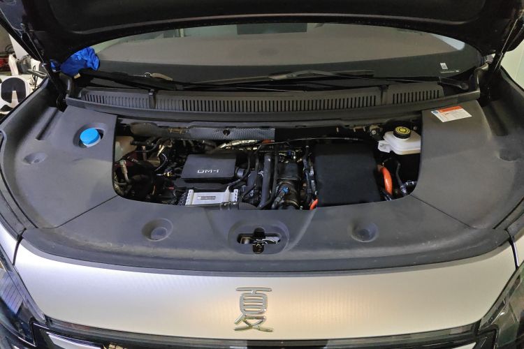 BYD Xia 2025 imagen de coche #23