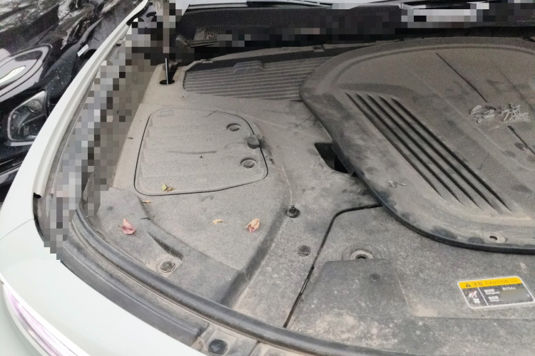 HongQi E-HS9 2023 imagem de carro #23