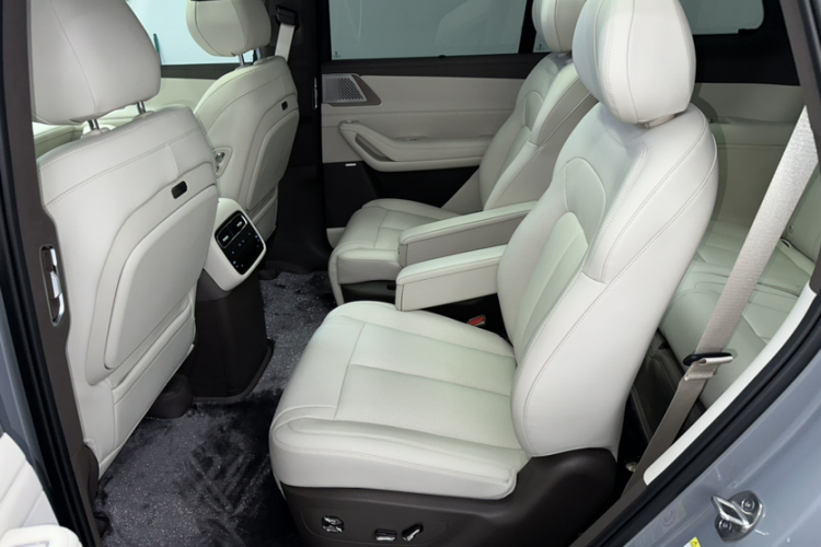 Denza 2025 car image #23