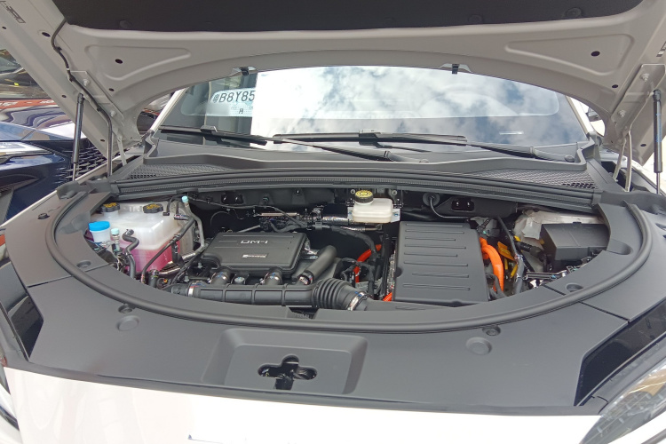 BYD Song Plus New Energy 2025 #23 BYD Song Plus New Energy 2025 car image #23