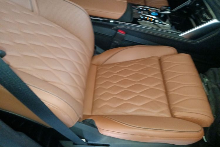 BYD Tang New Energy 2023 car image #23