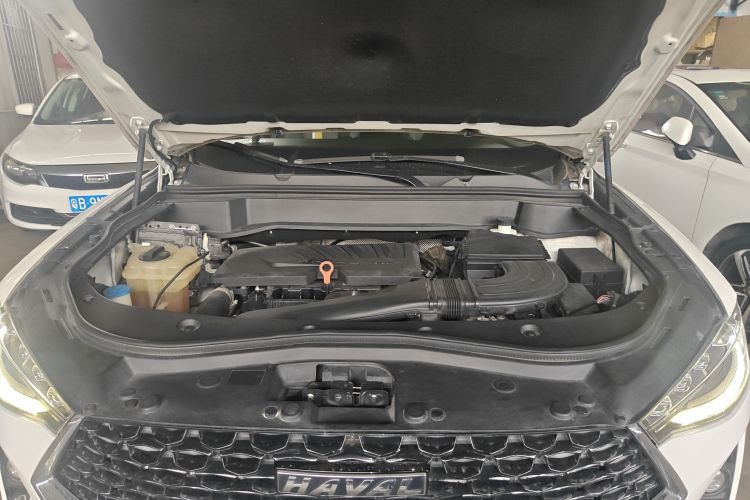 Haval F7x 2020 #23 Haval F7x 2020 immagine di auto #23