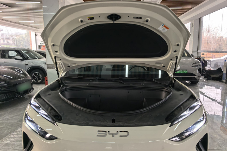 BYD Sea Lion 06 New Energy 2025 car image #23