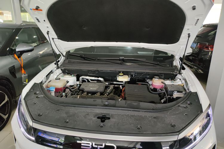 BYD Sea Lion 05 DM-i 2025 image de voiture #23