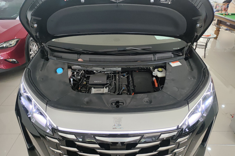 BYD Xia 2024 imagen de coche #23