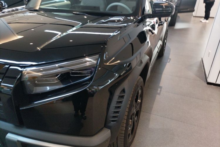 FangChengBao Tiger 3 2025 car image #23