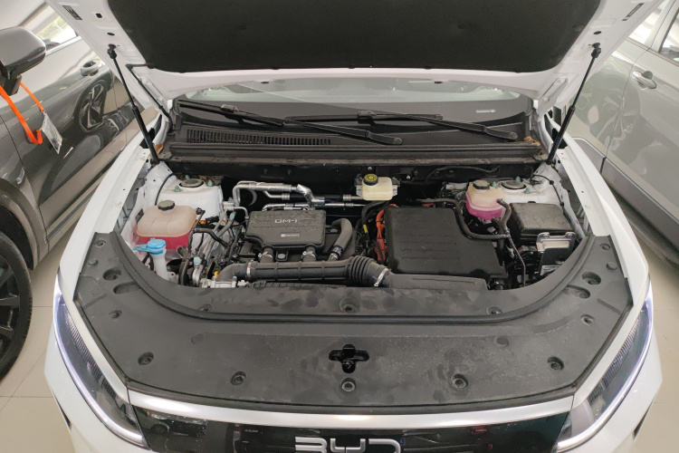 BYD Sea Lion 05 DM-i 2025 car image #23