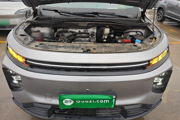 睿蓝汽车 睿蓝9 2023 汽车图片 #23