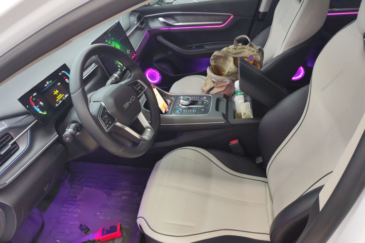 BYD Destroyer 05 2024 imagen de coche #23