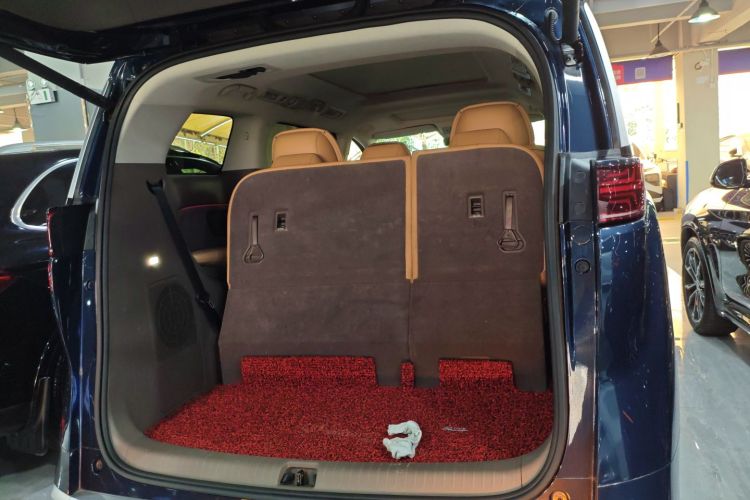 Denza D9 2023 imagen de coche #23