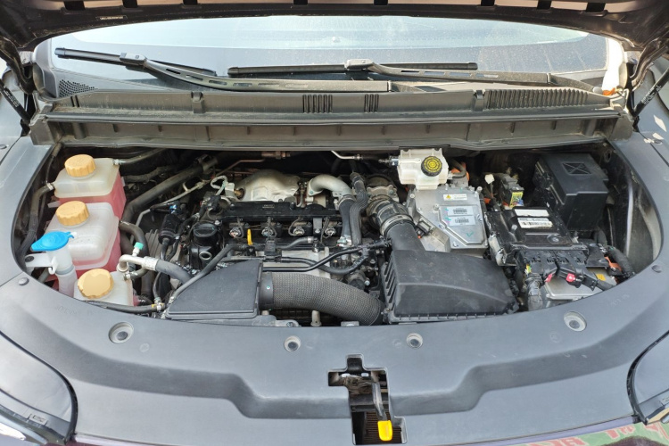 Forthing V9 2024 immagine di auto #23