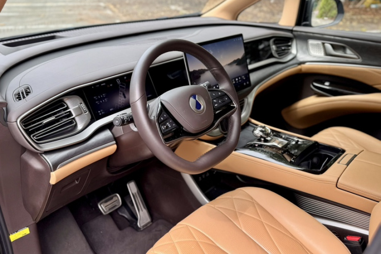 Denza D9 2025 изображение автомобиля #23