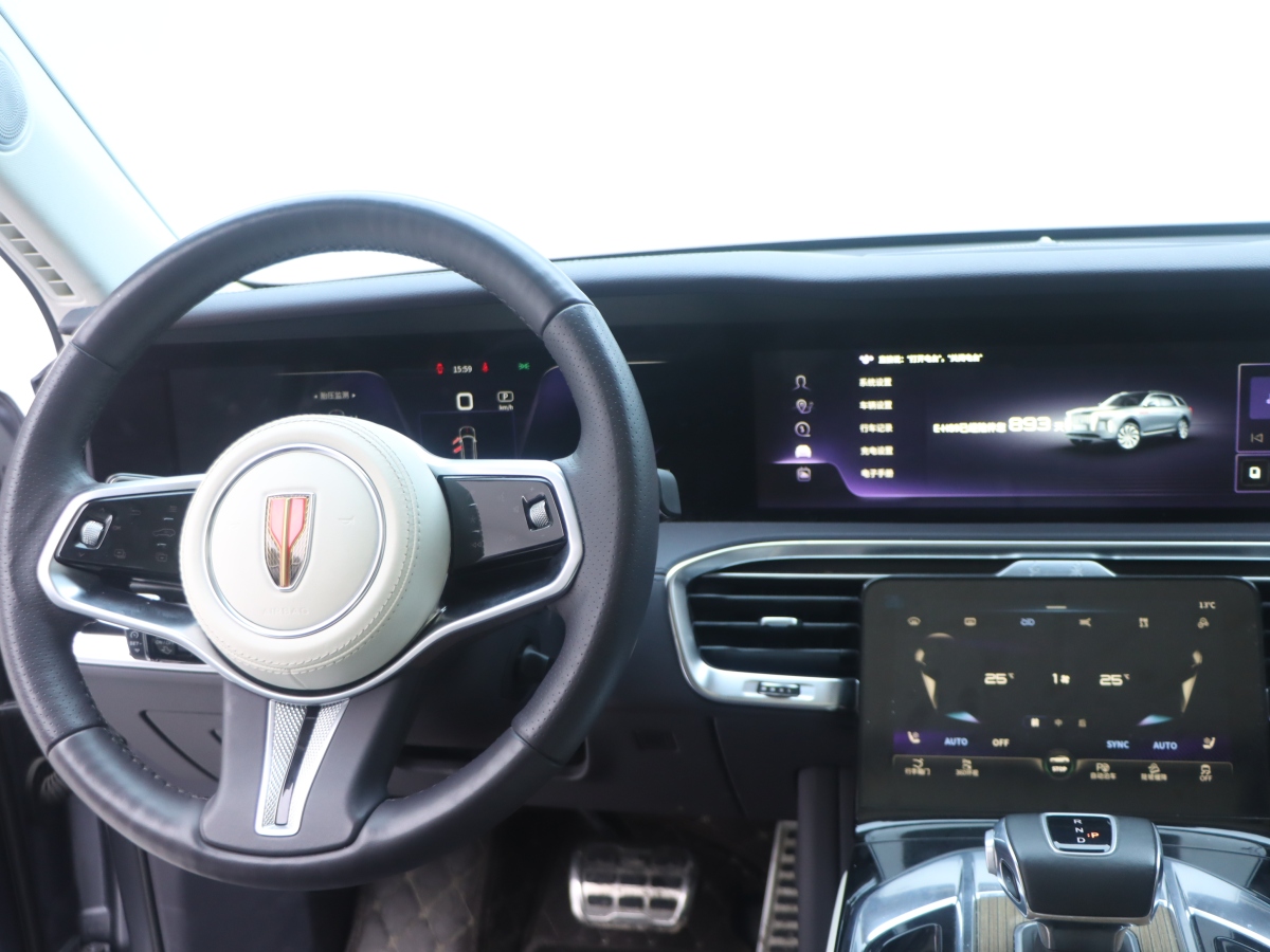 HongQi E-HS9 2023 car image #23