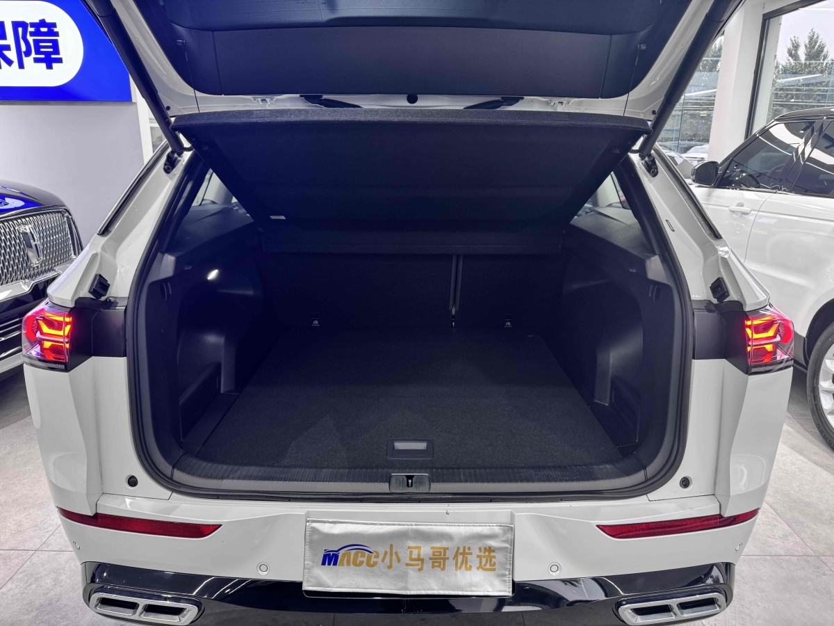 Volkswagen Tavendor 2023 car image #23