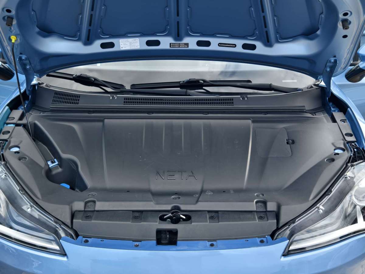 Neta V 2022 imagen de coche #23