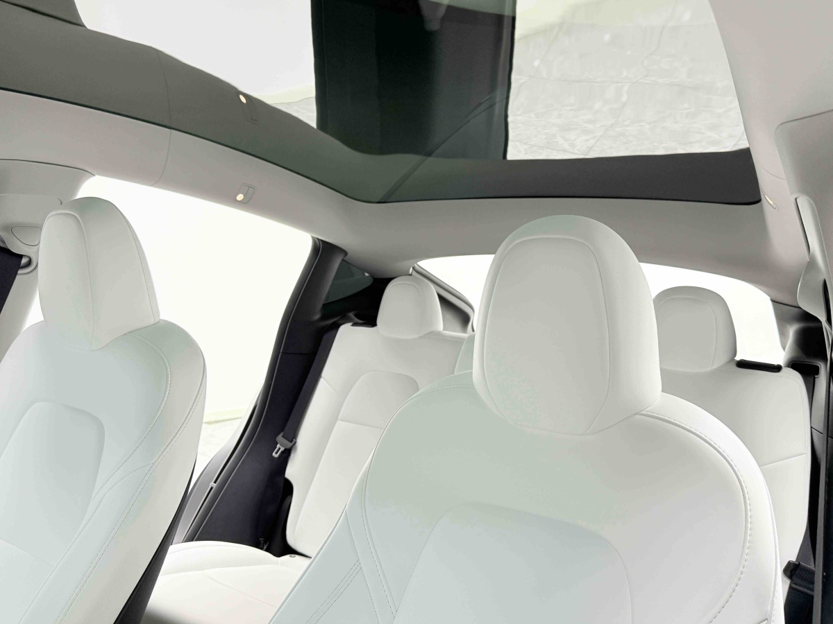 Tesla Model Y 2023 #23 Tesla Model Y 2023 car image #23