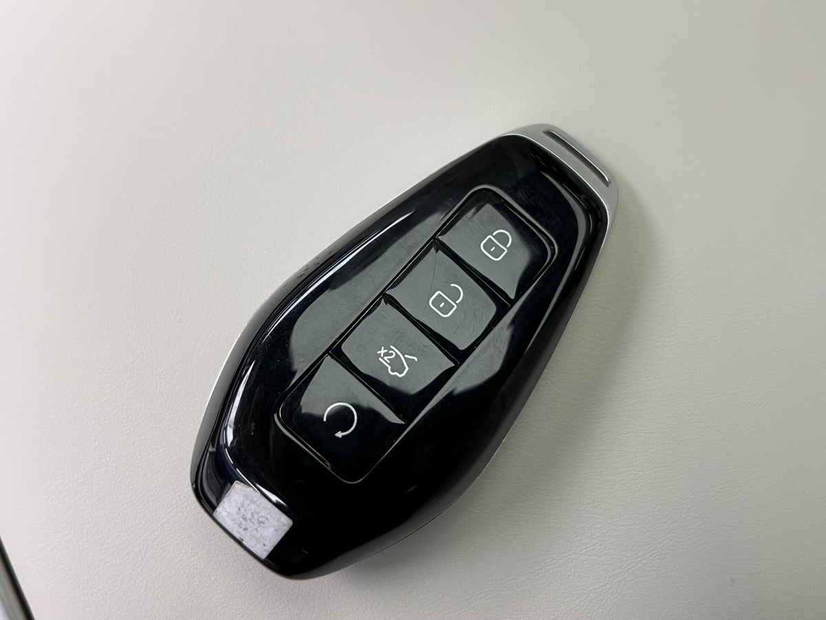 Denza Z9 2024 immagine di auto #23