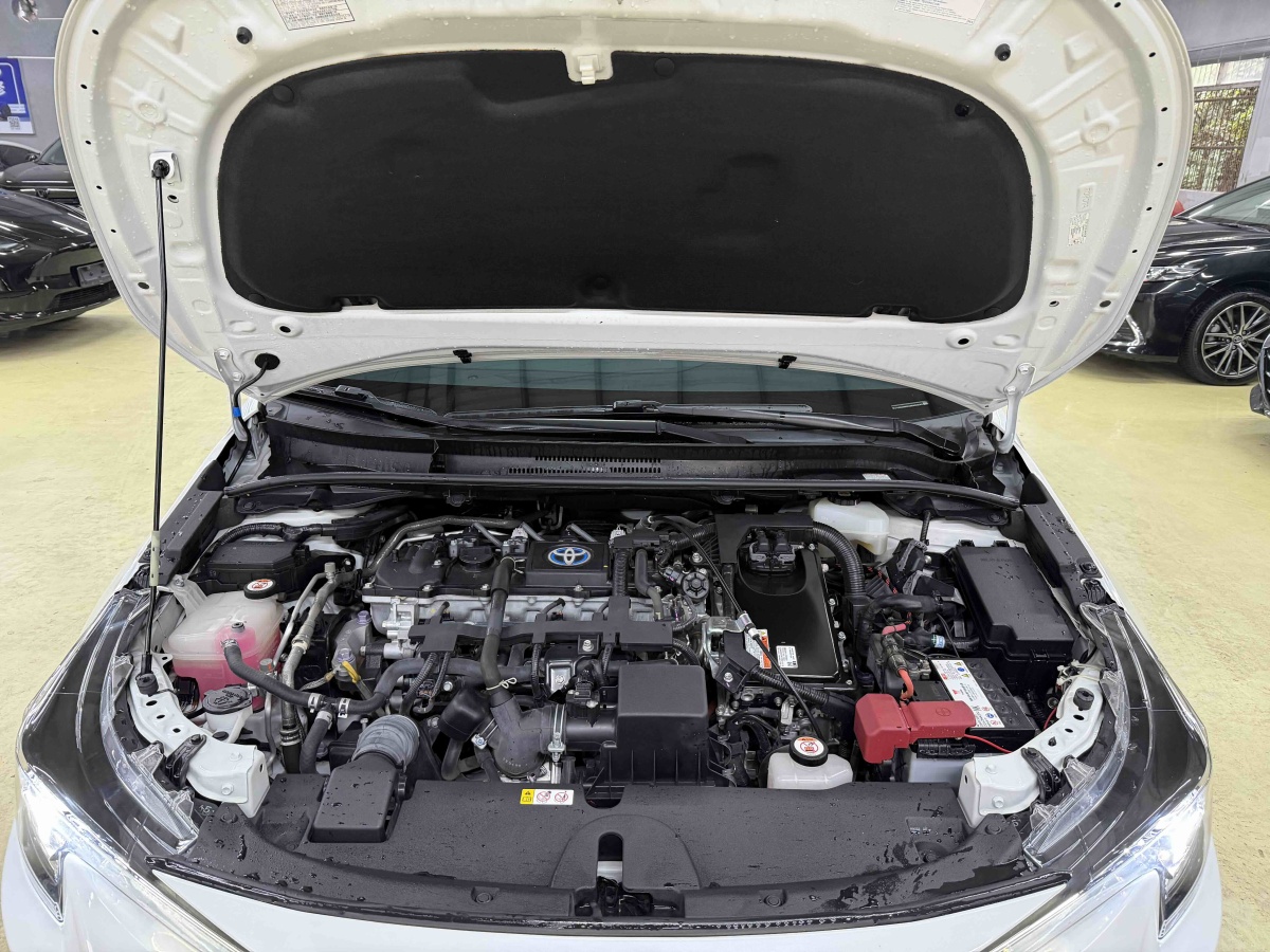 Toyota Levin 2022 imagen de coche #23