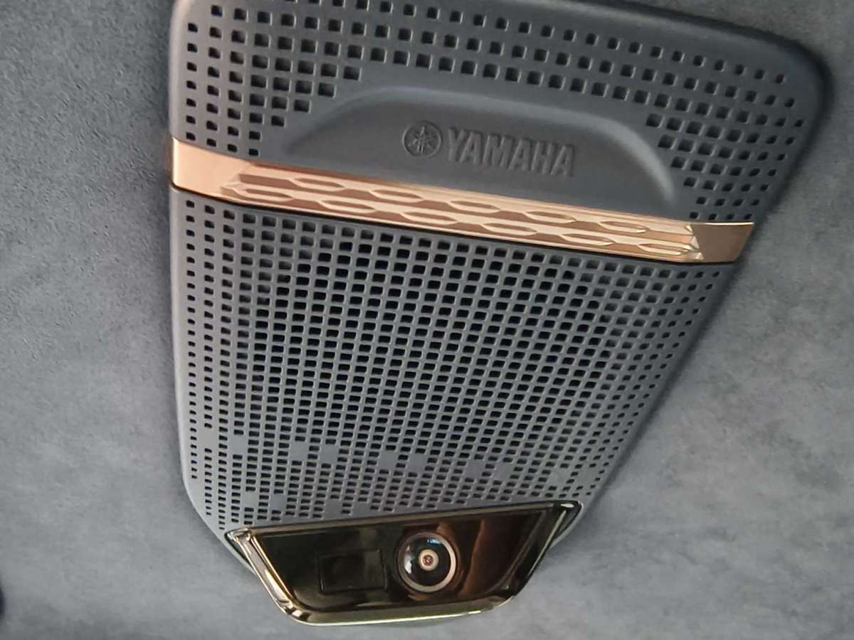 极氪 极氪009 2024 汽车图片 #23