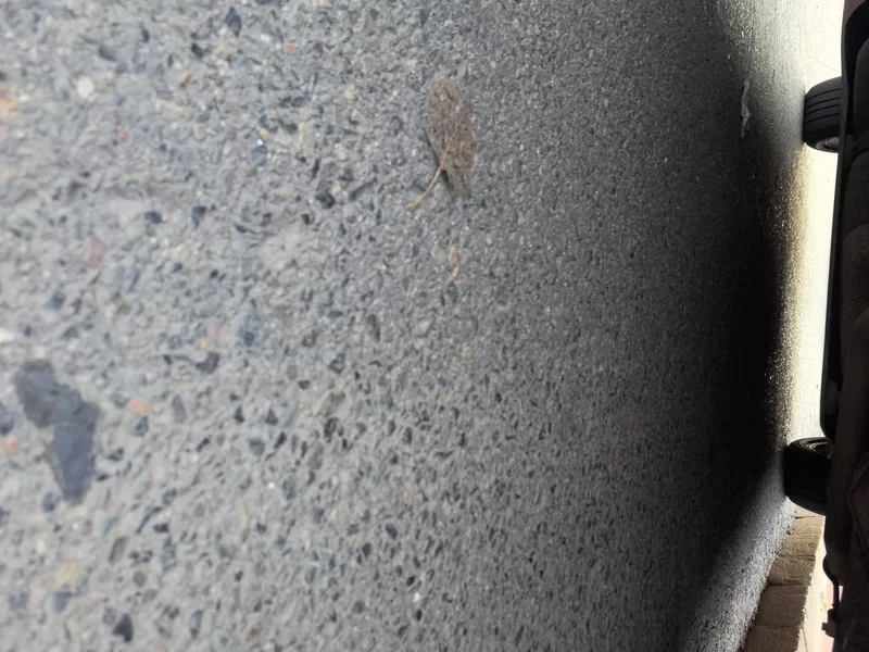 Changan UNI-Z 2025 #23 Changan UNI-Z 2025 car image #23