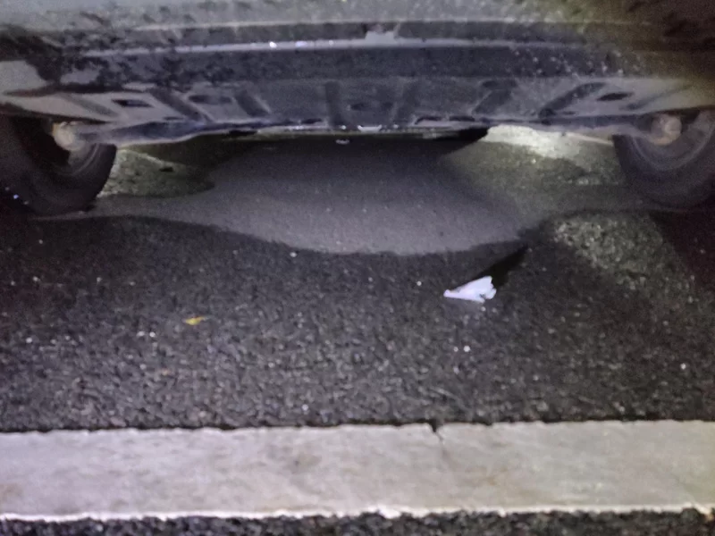 BYD Sea Lion 05 EV 2025 car image #23