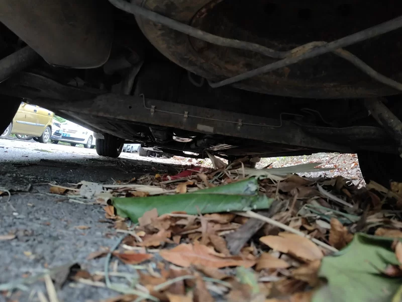 Forthing SX6 2016 #23 Forthing SX6 2016 car image #23