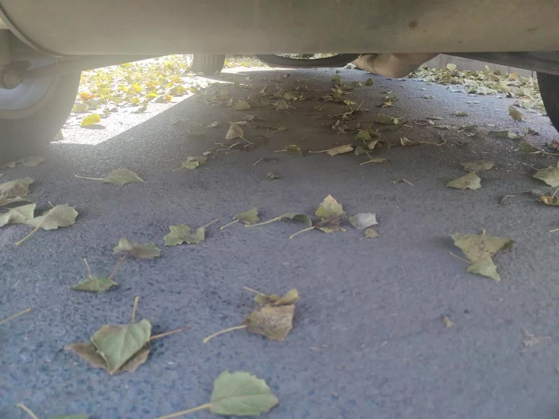 Haval H2 2015 car image #23