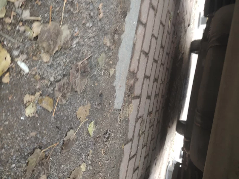 比亚迪 秦PLUS 2023 汽车图片 #23