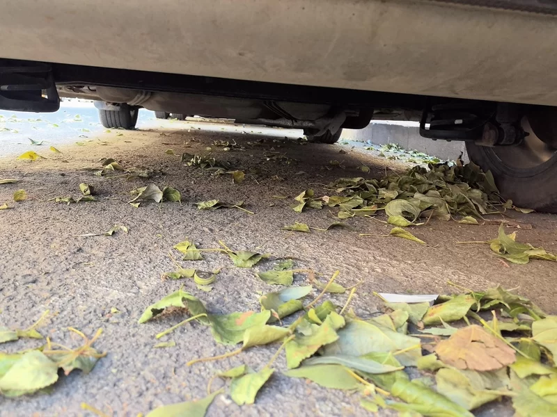 BYD Qin 2019 immagine di auto #23