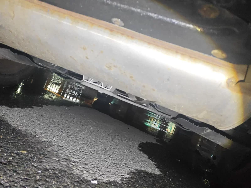 Volkswagen Bora Classic 2021 immagine di auto #23