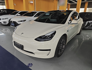 Tesla Model 3 2020 Tesla Model 3 2020 car image