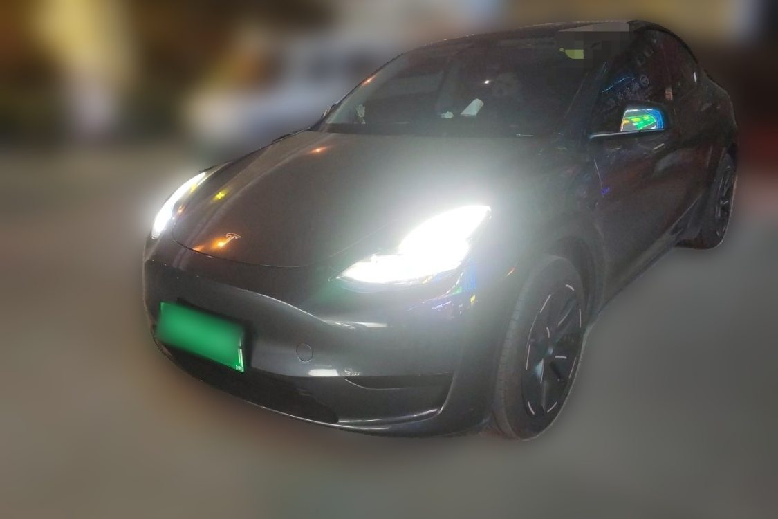 Tesla Model Y 2024 car image 