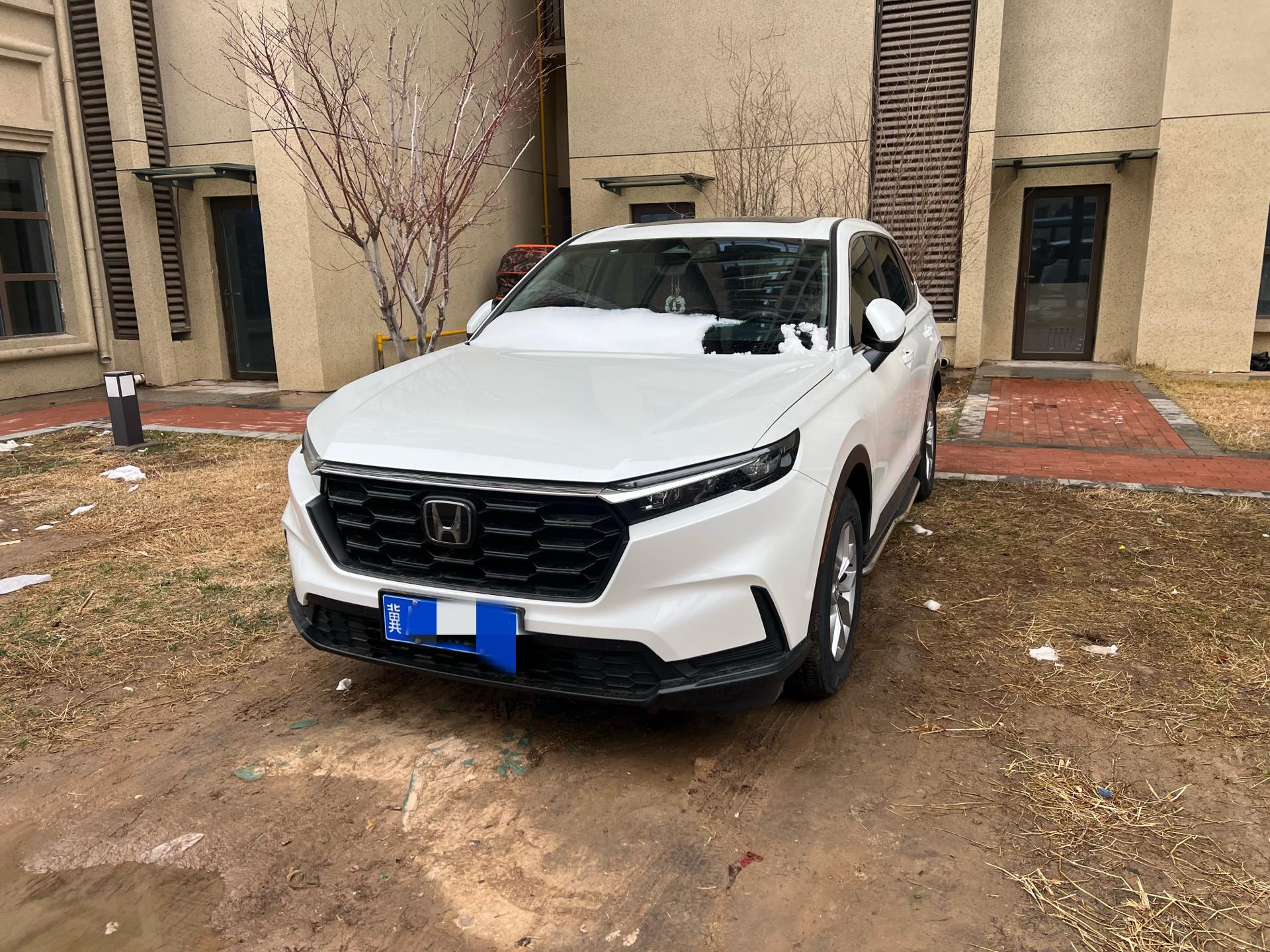 Honda CR-V 2023 car image 