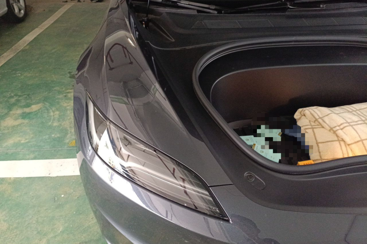 Tesla Model 3 2025 car image #28