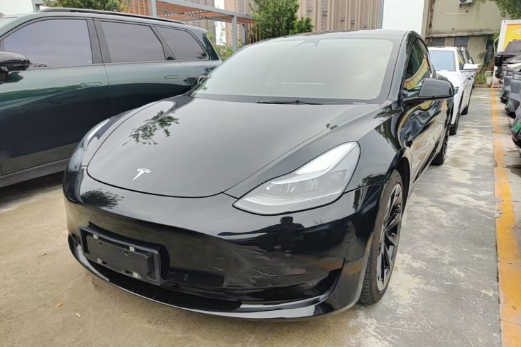 Tesla Model 3 2021 #2 Tesla Model 3 2021 car image #2